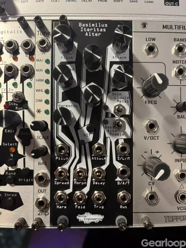 Noise Engineering Basimilus Iteritas Alter