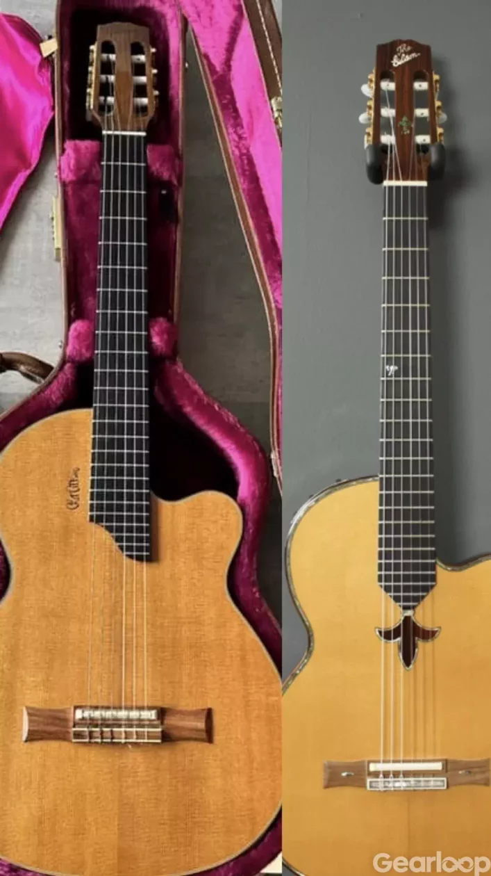 Gibson Chet Atkins nylon - bild 2