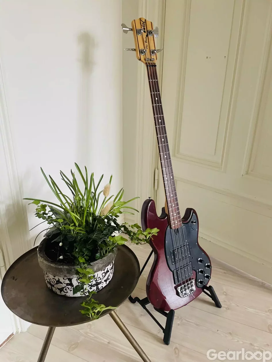 Wal pro bass IIe - bild 2