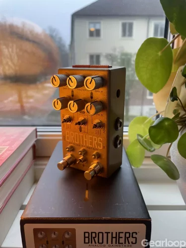 Chase Bliss Audio Brothers