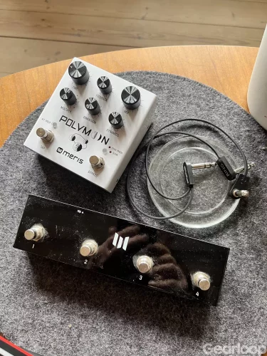 Polymoon Meris delay