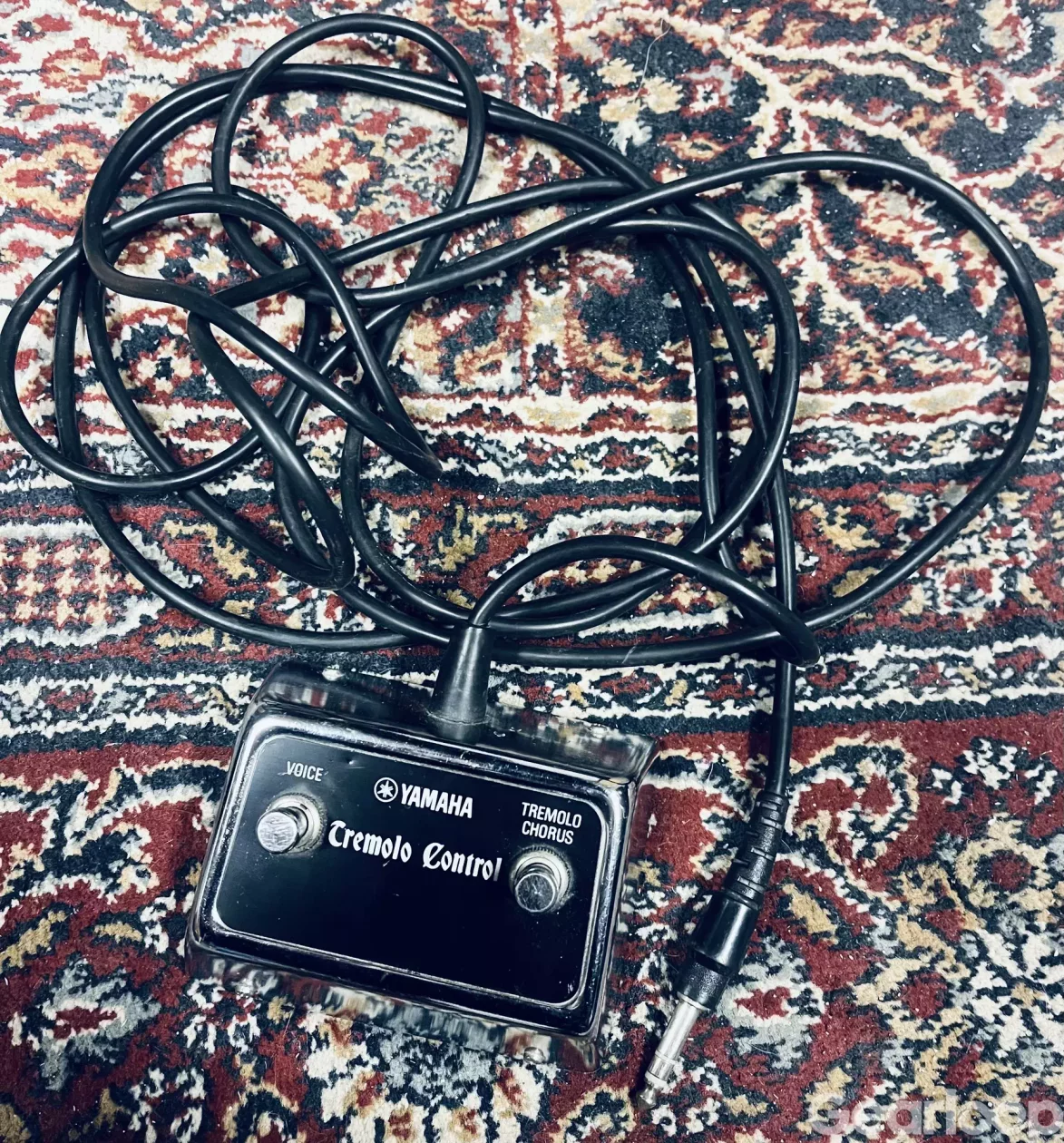 Yamaha RA-100 Leslie - bild 2