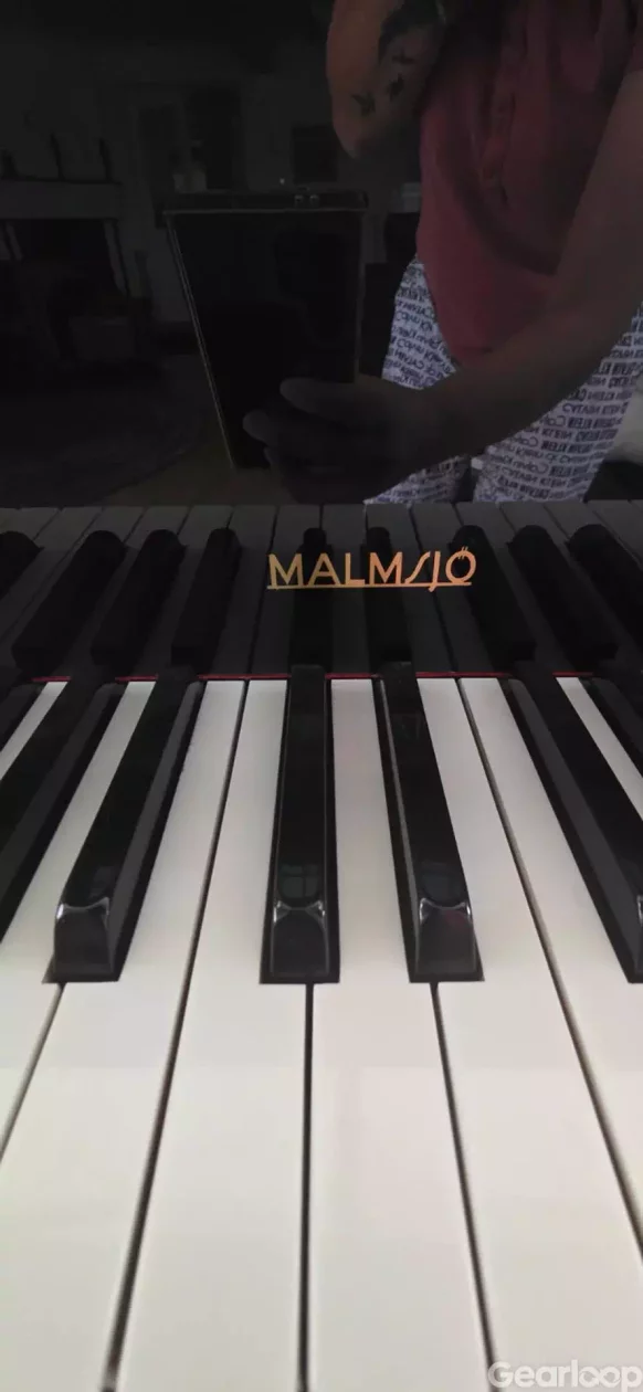 J.G. Malmsjö-flygel - bild 2