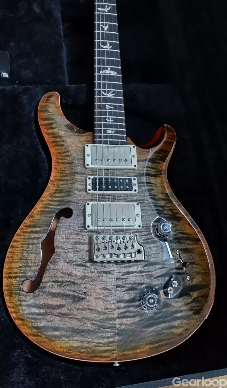 PRS Special Semi-Hollow Limited 2019 - bild 2