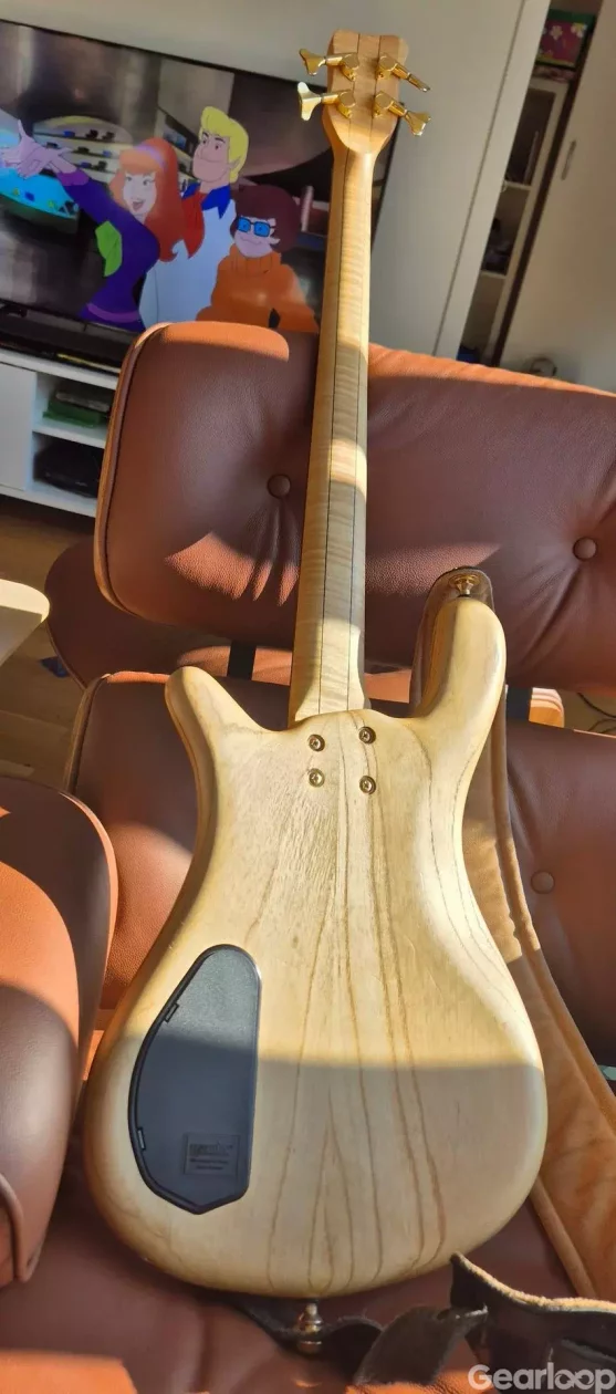 Warwick Streamer $$ - bild 2