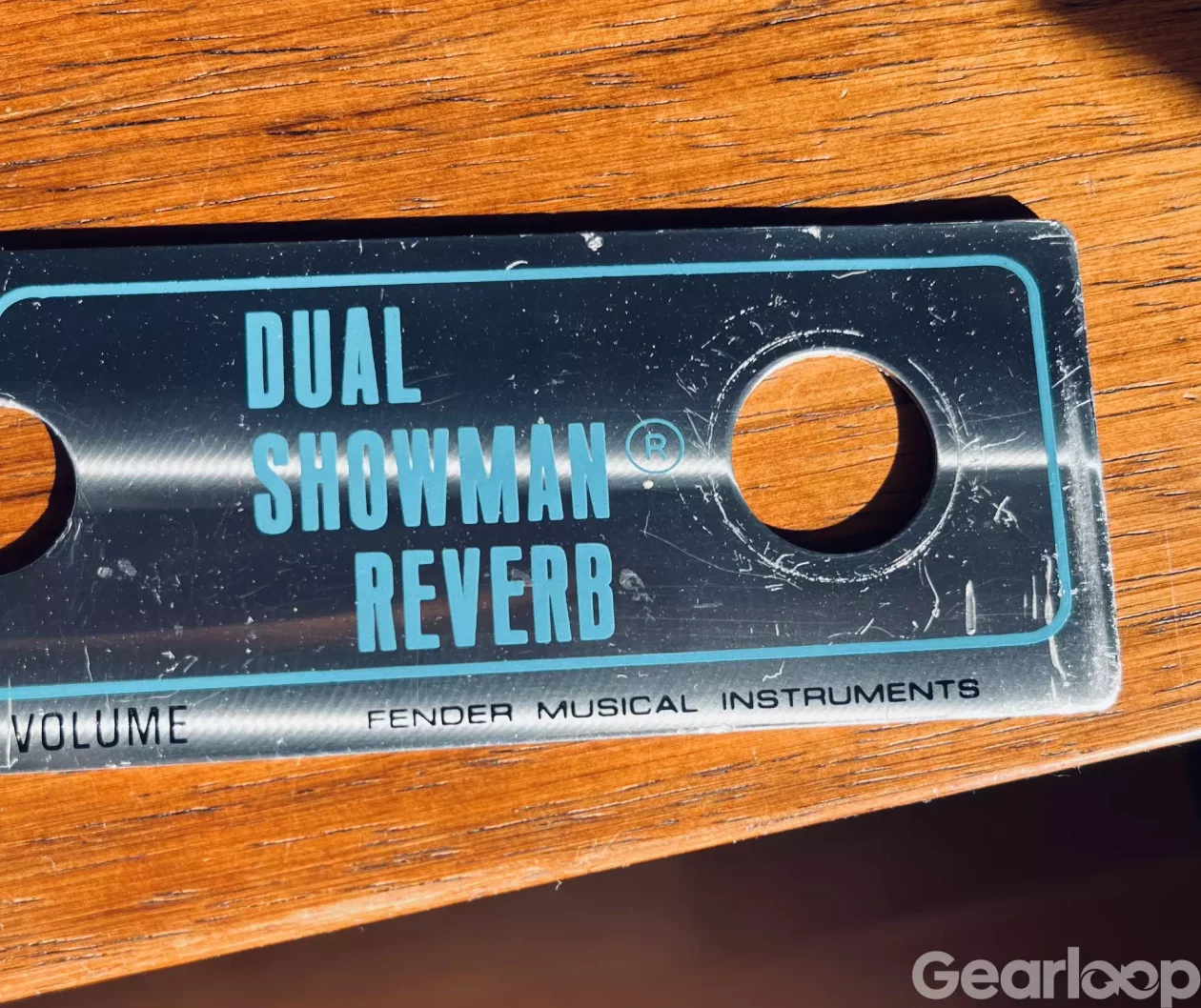 Fender Dual Showman Reverb Faceplate 1976 plus Rattar och spill - bild 2