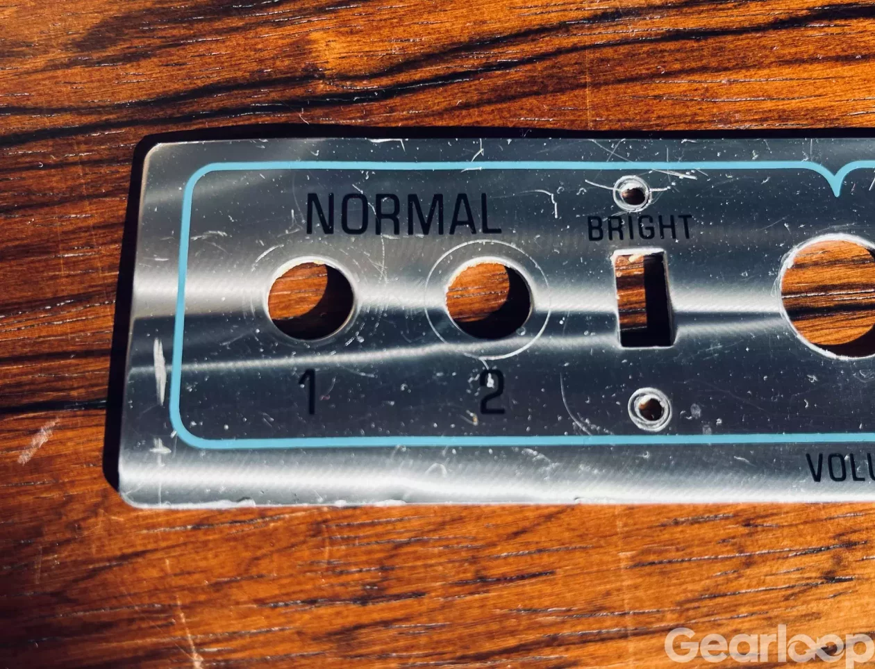 Fender Dual Showman Reverb Faceplate 1976 plus Rattar och spill - bild 3