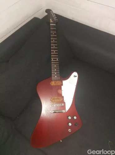 Gibson firebird studio 2019