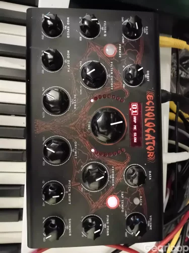Erica Echolocator