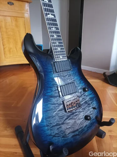 PRS SE - Mark Holocomb