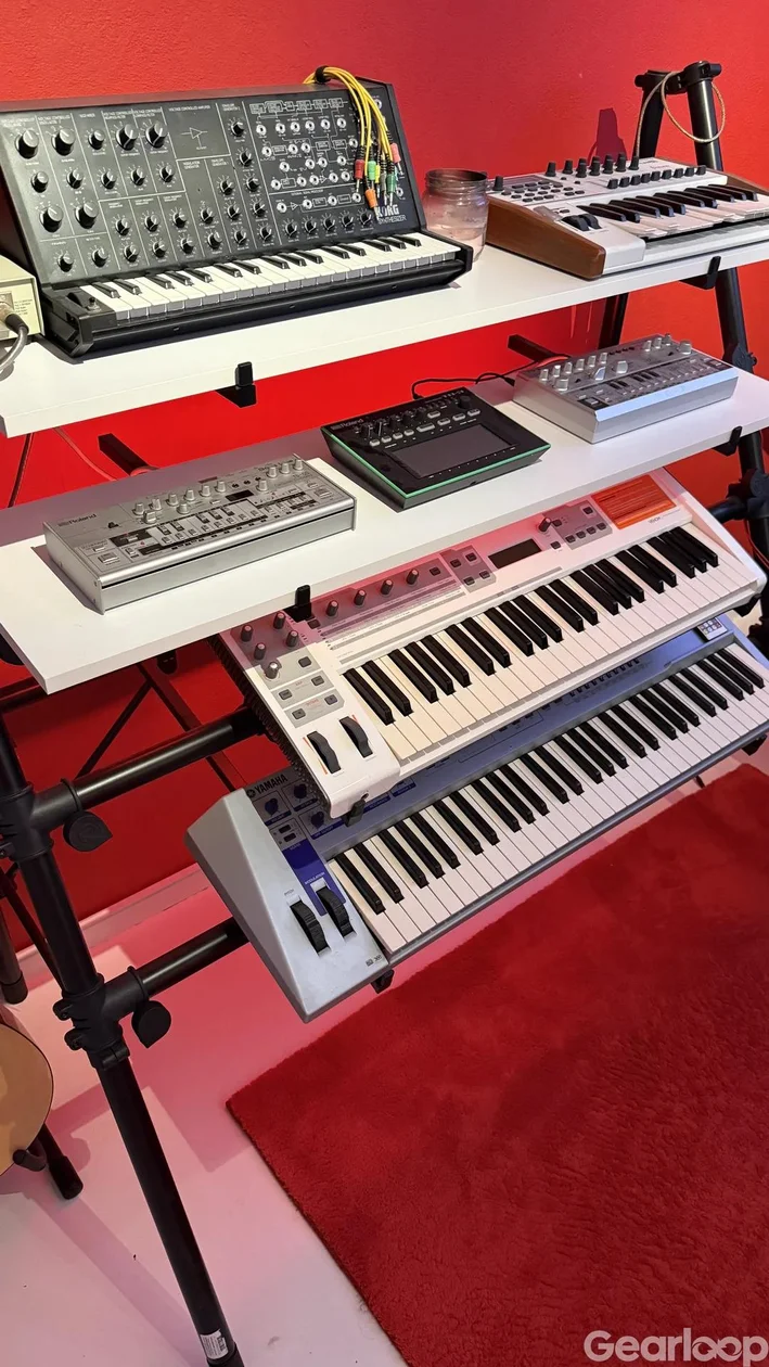 Roland TB-03 - bild 4