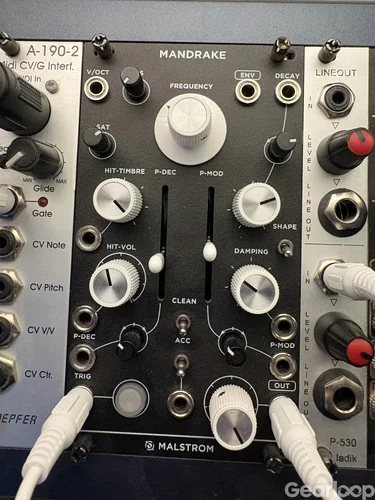 Malstrom Mandrake kick drum synthesizer