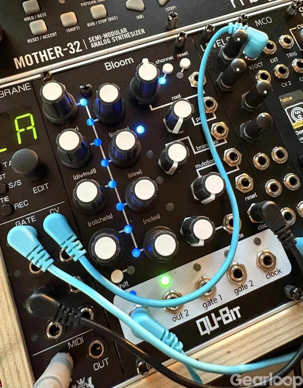 Qu-bit Bloom - bild 2