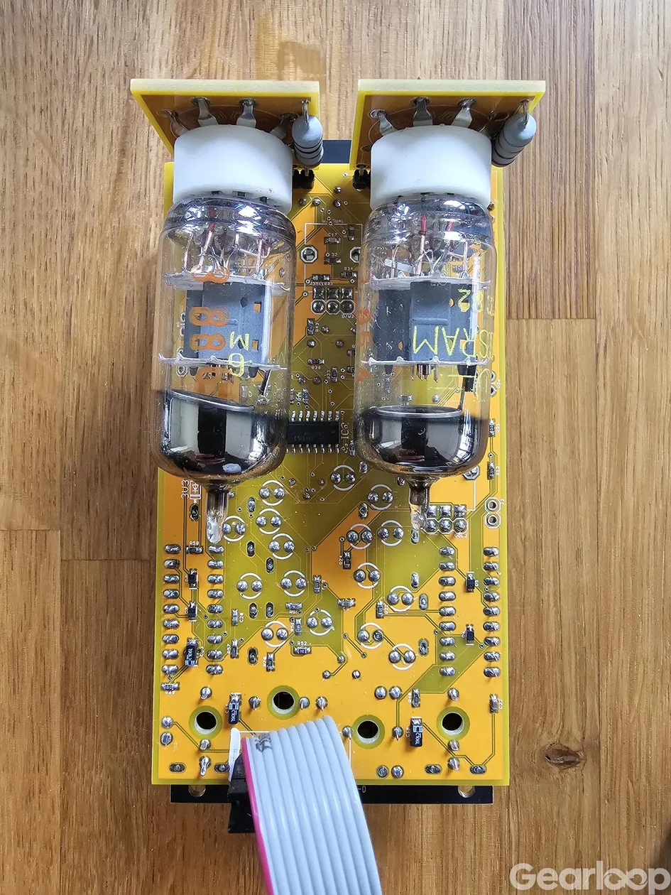Bizarre Jezabel Mimosa - Stereo rördist - bild 2