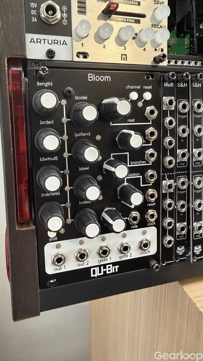 Qu-bit Bloom mkI - bild 1