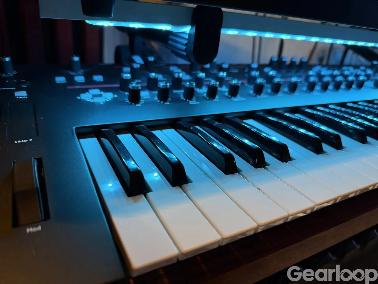 Dave Smith Prophet 12 - bild 2