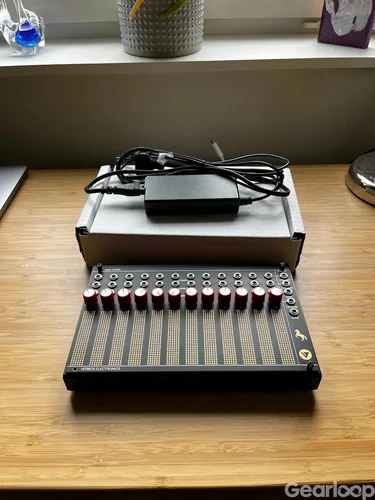 Verbos Mini Horse + case