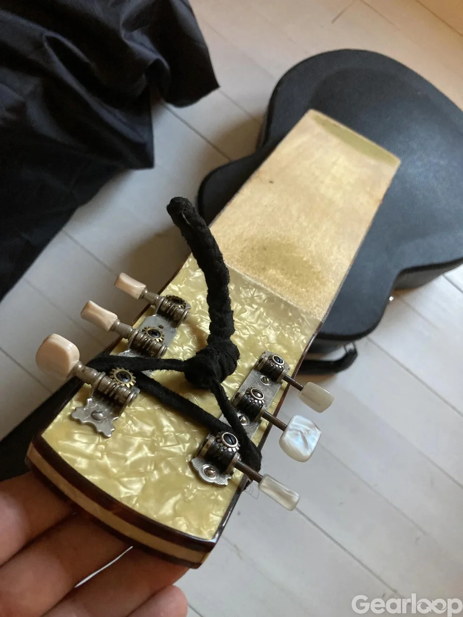 Höfner Lapsteel - bild 2
