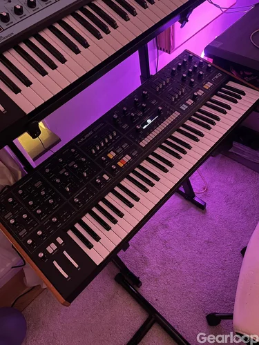 Moog Muse