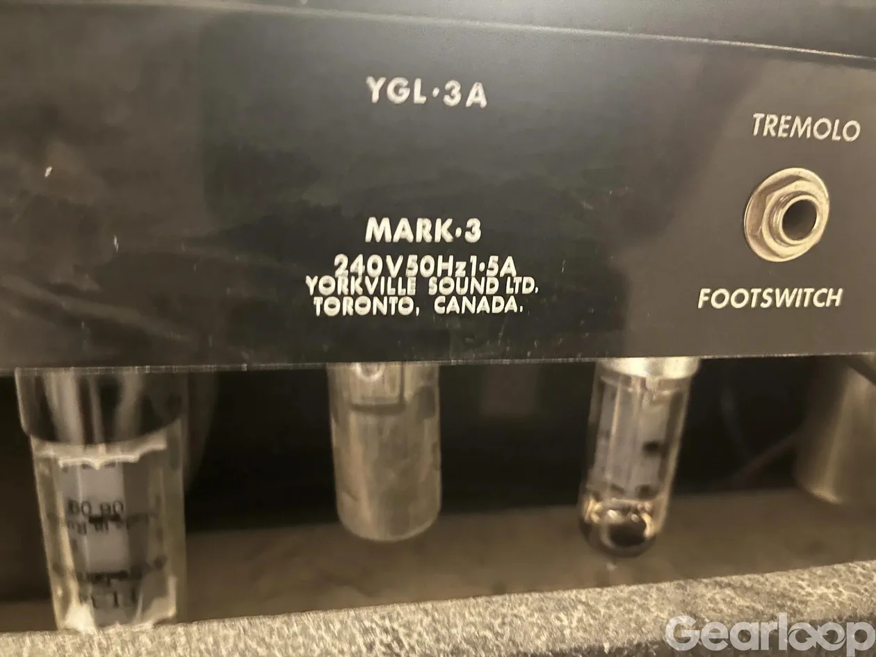 Rörtopp Traynor 100W PLUS låda - bild 3