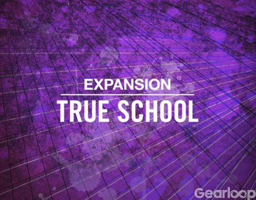 Native Instruments - True School Expansion