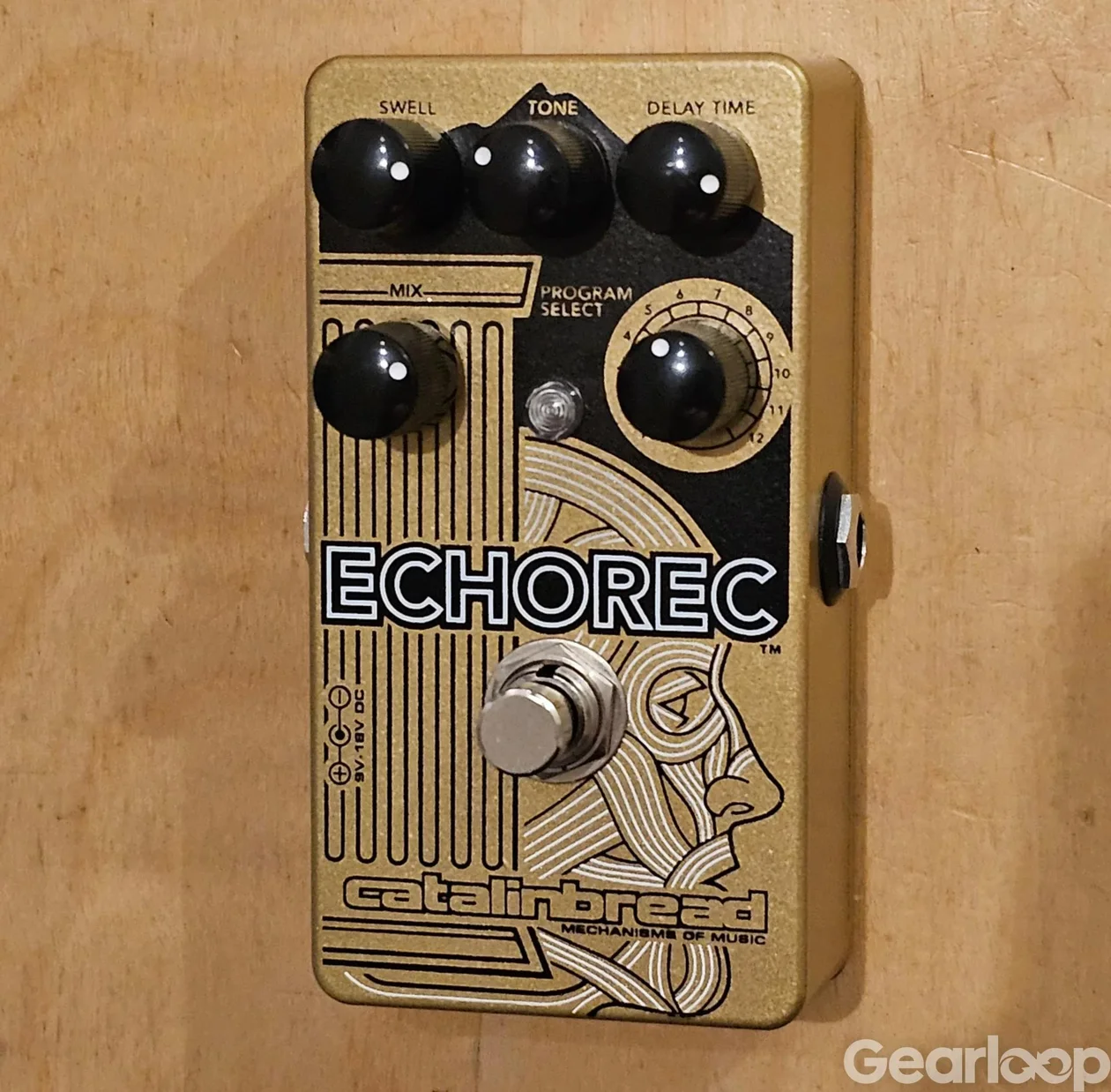 Catalinbread Echorec multihead delay - bild 2