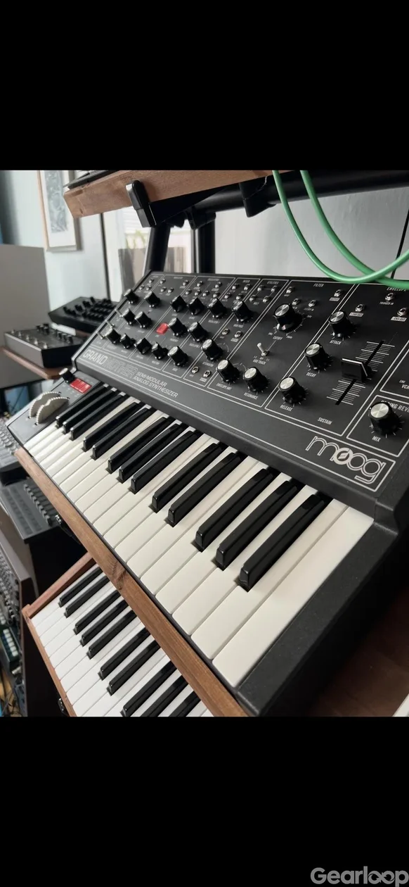 Moog Grandmother Dark - bild 2
