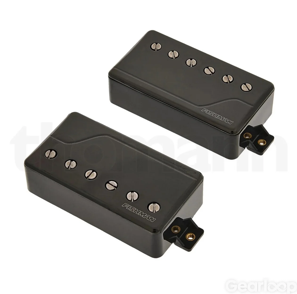 Duncan Blackouts eller Fishman Fluence - bild 2