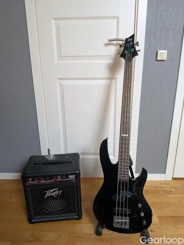 LTD B-50  +  peavy microbass