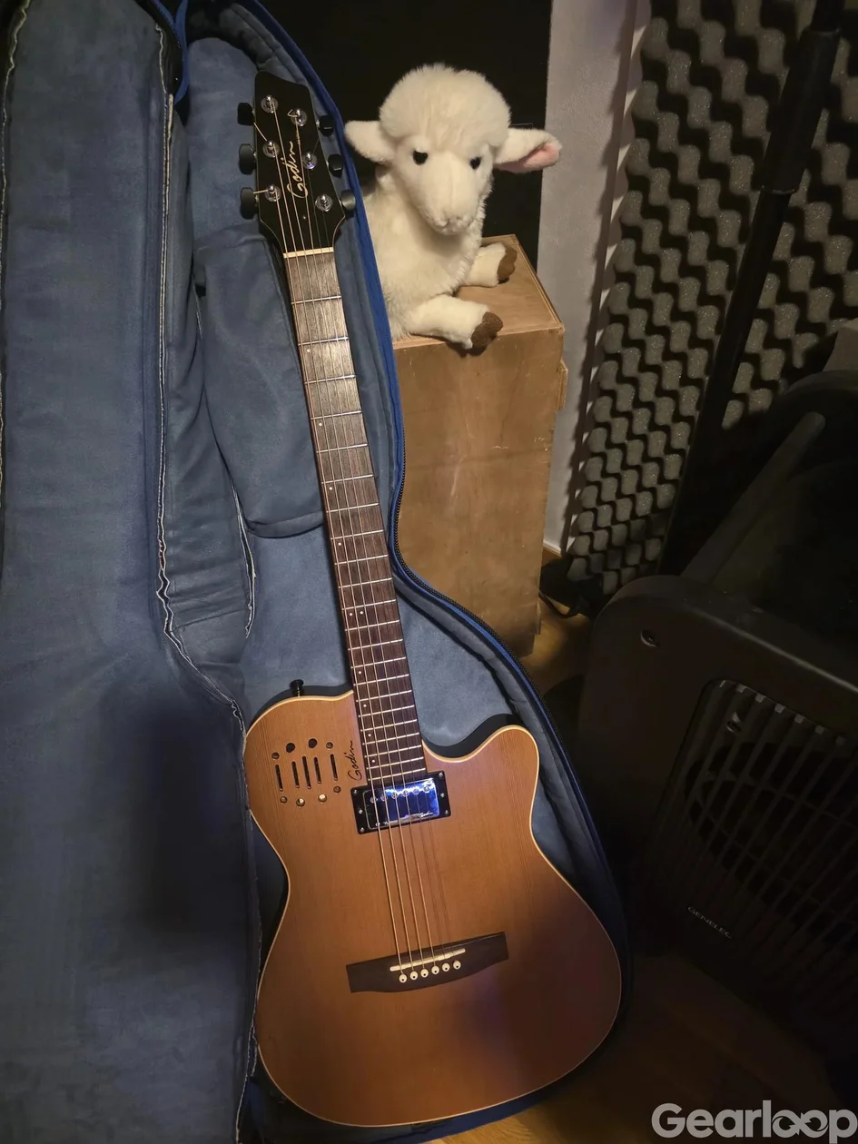 Godin A6 Ultra - bild 2