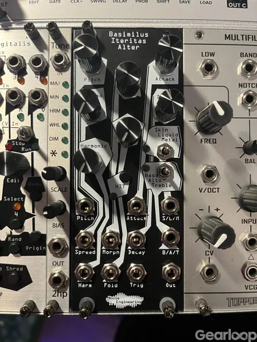 Noise Engineering Basimilus Iteritas Alter BIA