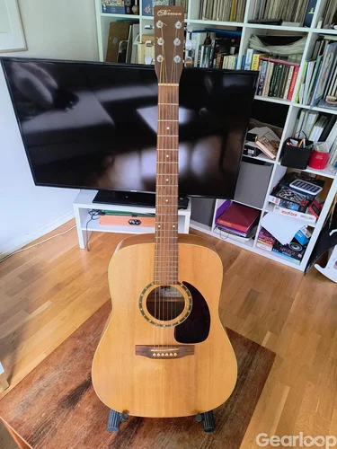 Norman B20 6