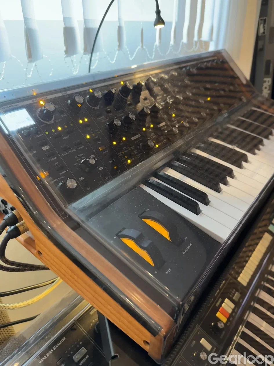 Moog Subsquent 37 - bild 5