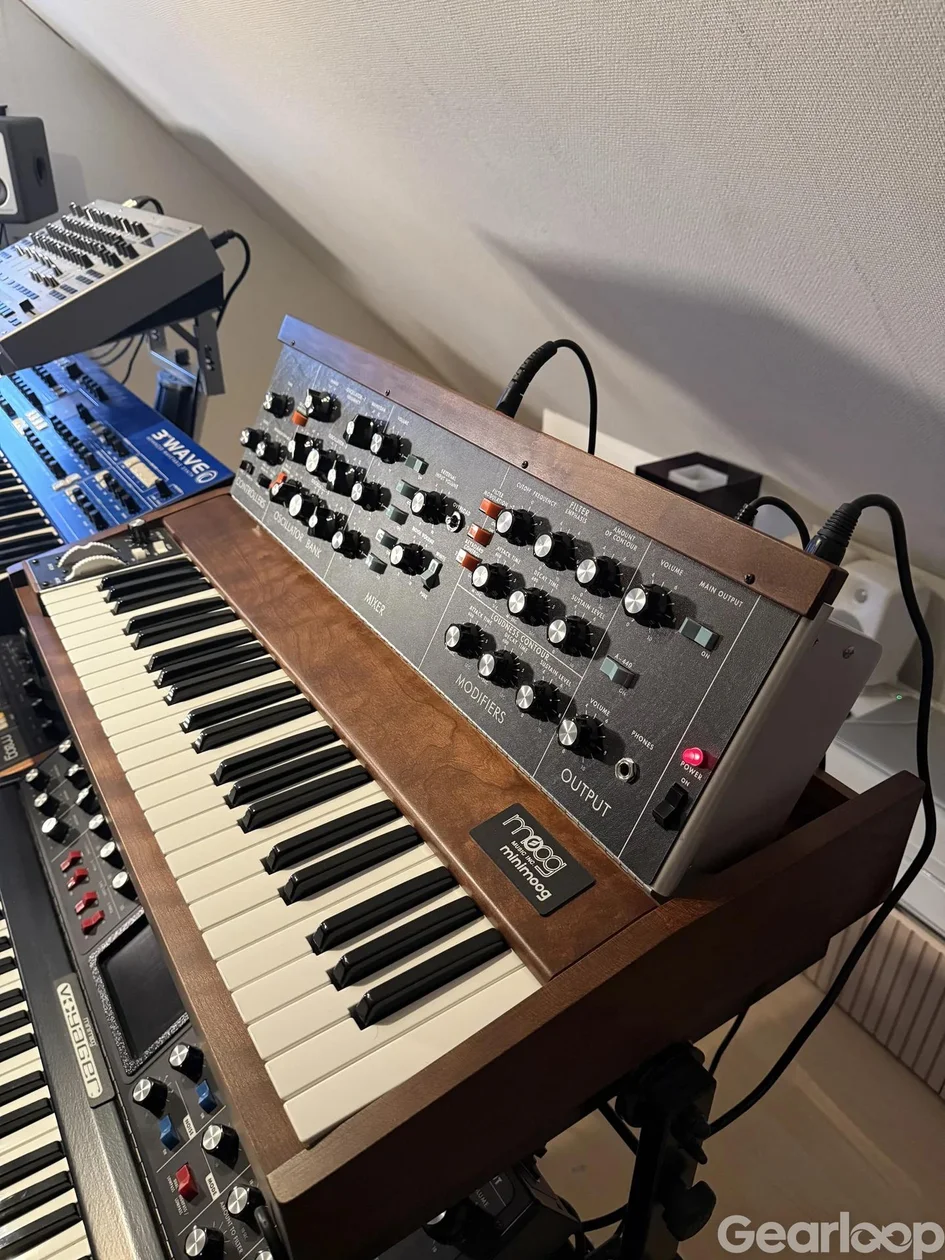 Moog Minimoog Reissue 2022 - bild 2