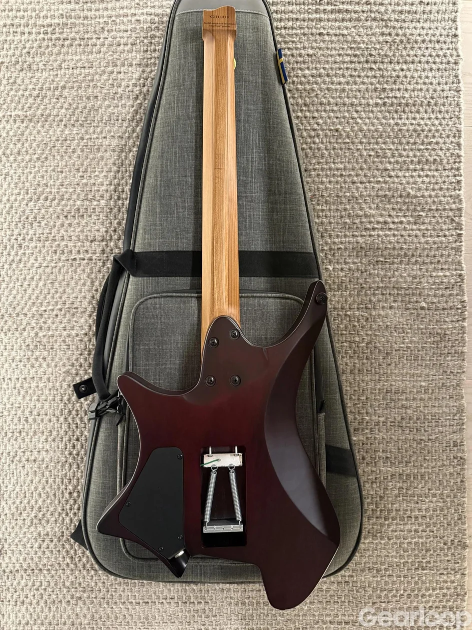 Strandberg Boden Standard 6 Trem Maple Bengal BG - bild 2