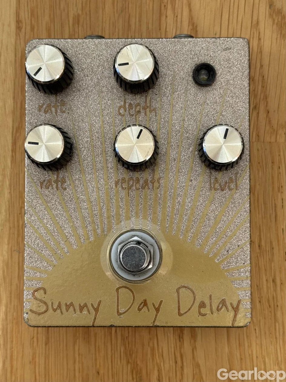 Dr Scientist Sunny Day Delay (vinyl finish) - bild 1
