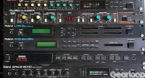Roland D-110