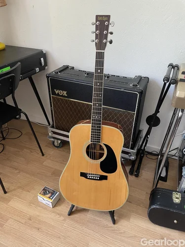 Cat's eyes med K&K pure mini, K&K preamp
