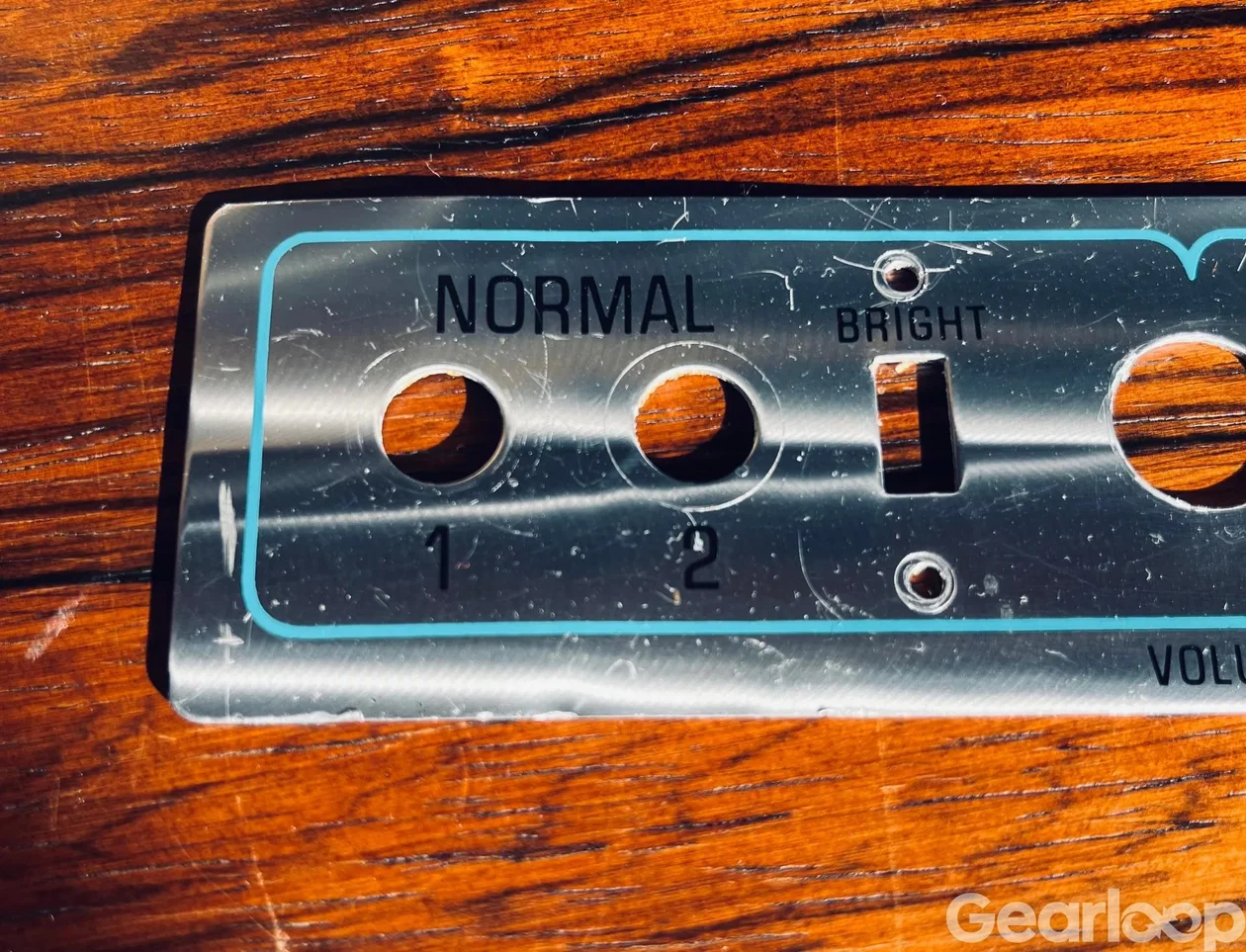 Fender Dual Showman Reverb Faceplate 1976 plus rattar och spill - bild 6