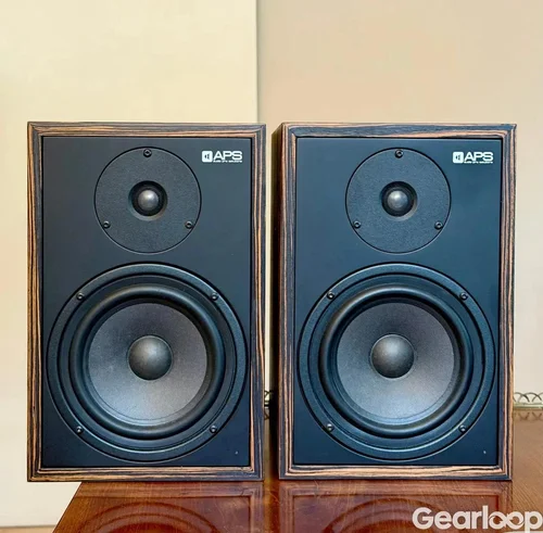 APS Klasik monitor