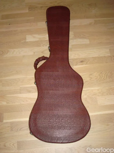 Stratocaster hardcase