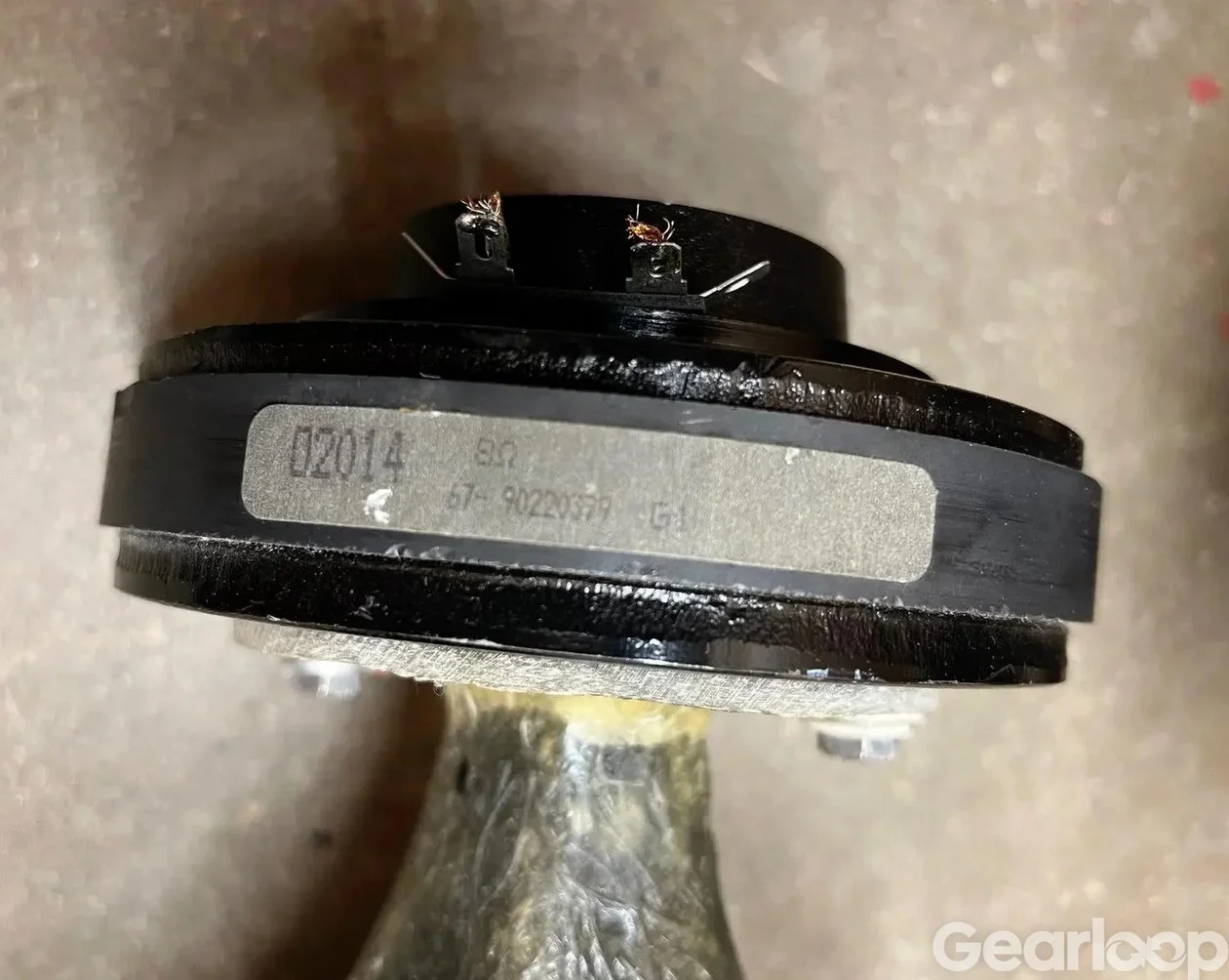 2 st. Radax horn med Eminence PSD-2002S 8 Ohm 80W RMS - bild 3