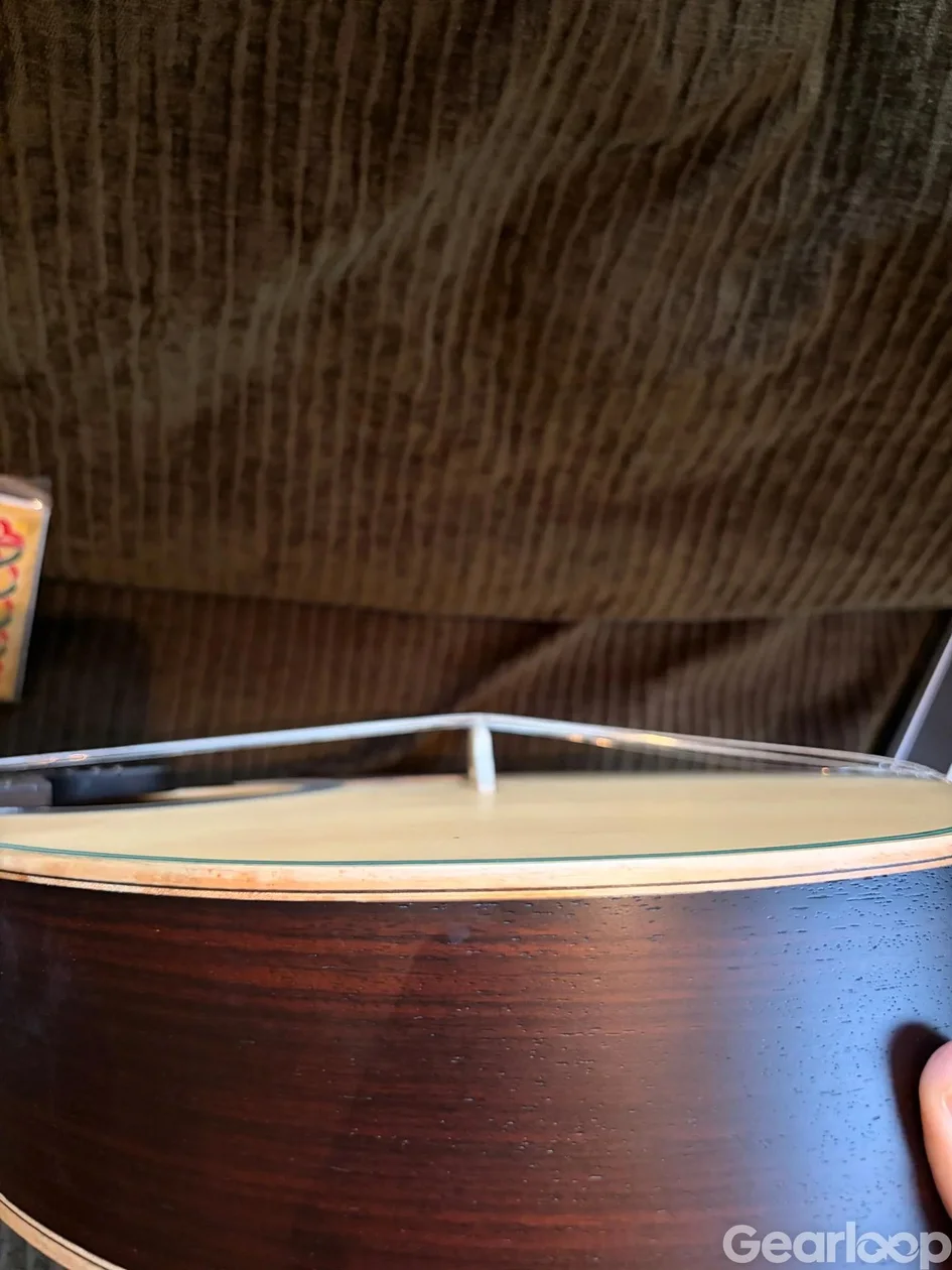 APC 312 CB Deluxe – Portugisisk fadogitarr, Coimbra-modell - bild 6