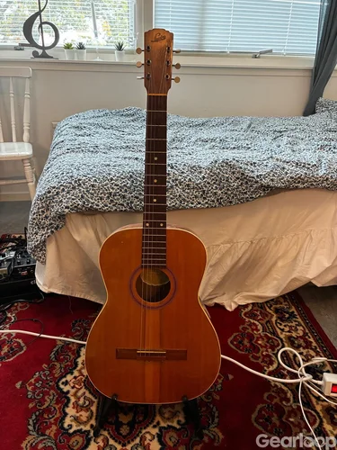Levin gitarr