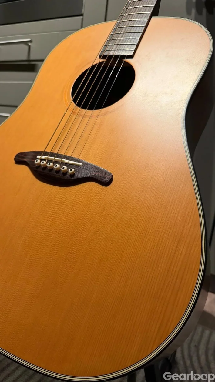 Ibanez R300 akustik - bild 6