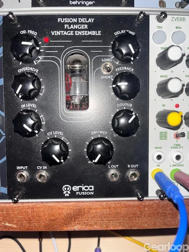 Erica synths fusion delay