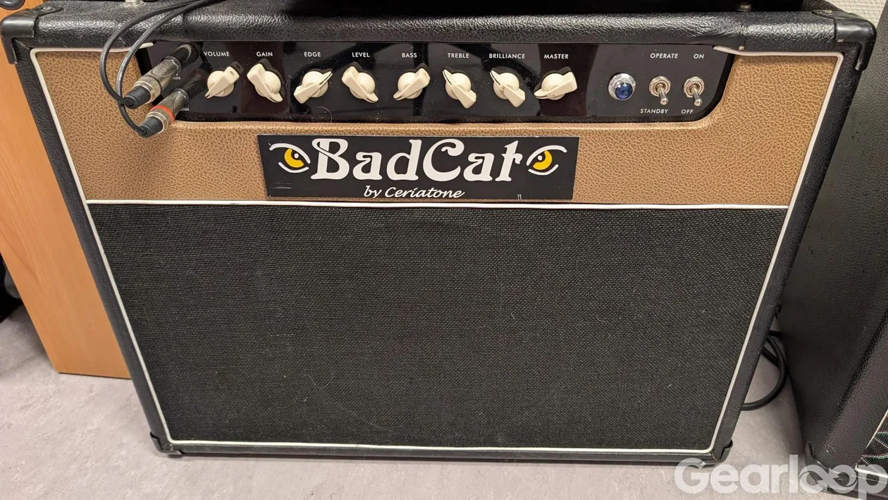 Ceriatone Bad cat kombo "Stray cat" - bild 1