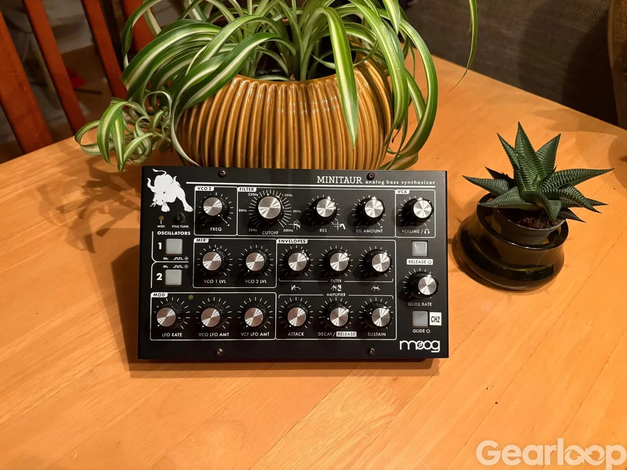 RE-303, DFAM, Minitaur - bild 4