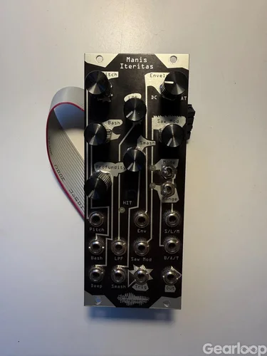 Noise Engineering Manis Iteritas